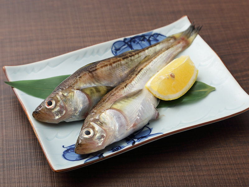 時期により旬な秋田の魚もご提供しています